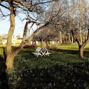 150421-FS10.jpg 150421-FS10.jpg