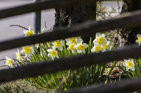 2015-04-22.jpg 2015-04-22.jpg