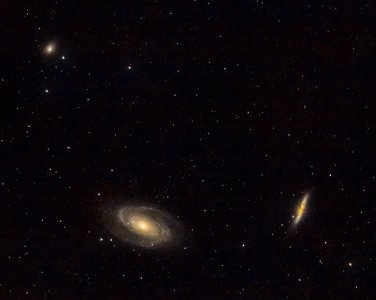 Bodes Cigar Garland 500mm 157x30s.jpg