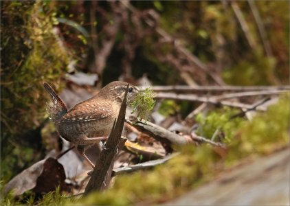 240505.01.JPG 240505.01.JPG