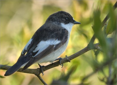 240507.01.JPG 240507.01.JPG