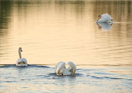 240511.01.JPG 240511.01.JPG