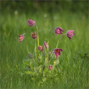 240512.01.JPG 240512.01.JPG