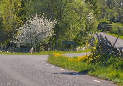 240515.01.JPG 240515.01.JPG