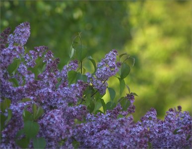 240518.01.JPG 240518.01.JPG