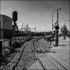 240519-Fs-1år.jpg 240519-Fs-1år.jpg