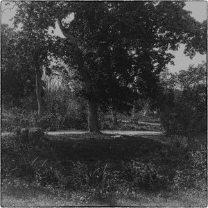 240525-Fs-1år.jpg 240525-Fs-1år.jpg