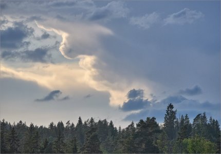 240525.01.JPG 240525.01.JPG