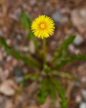 _MG_6928.jpg _MG_6928.jpg