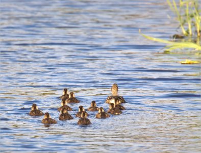 150527.01.JPG 150527.01.JPG