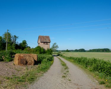 240530-Fs-1år.jpg 240530-Fs-1år.jpg