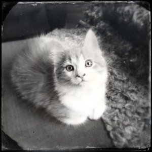 150531-FS10.jpg 150531-FS10.jpg