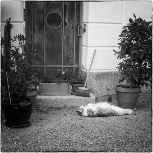 240531-Fs-1år.jpg 240531-Fs-1år.jpg