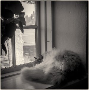 240601-Fs-1år.jpg 240601-Fs-1år.jpg