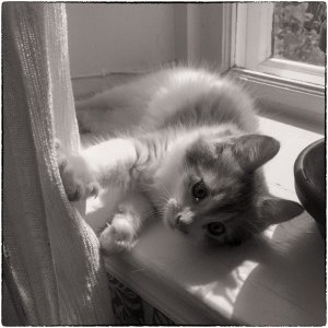 150601-FS10.jpg 150601-FS10.jpg