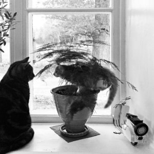 150602-FS10.jpg 150602-FS10.jpg