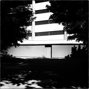 240604-Fs-1år.jpg 240604-Fs-1år.jpg