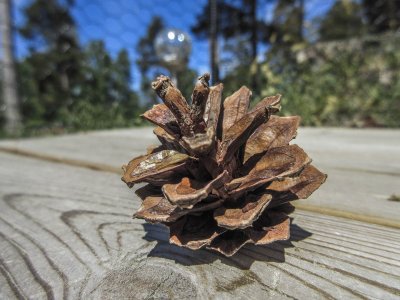 2015-06-05.jpg 2015-06-05.jpg