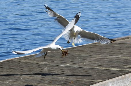 2015-06-12.jpg 2015-06-12.jpg