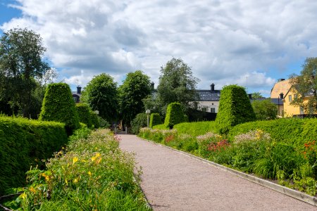 240614-Fs-1år.jpg 240614-Fs-1år.jpg