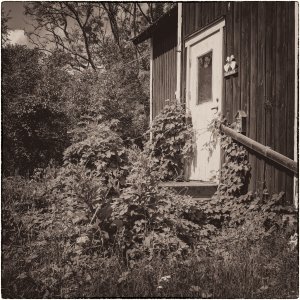 240615-Fs-1år.jpg 240615-Fs-1år.jpg