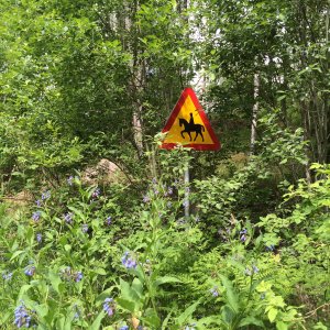 150620-FS10.jpg 150620-FS10.jpg