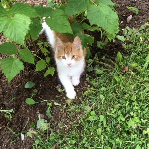 150621-FS10.jpg 150621-FS10.jpg