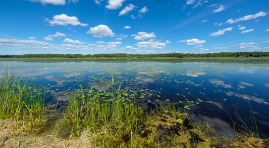 240621-Fs-1år.jpg 240621-Fs-1år.jpg