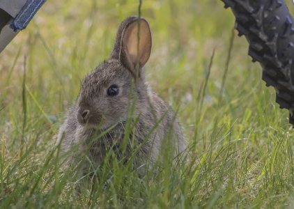 2015-06-22.jpg 2015-06-22.jpg