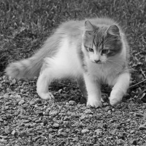 150623-FS10.jpg 150623-FS10.jpg