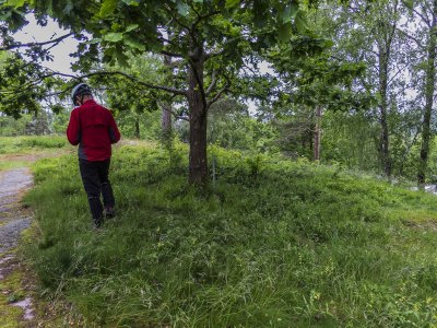 2015-06-24.jpg 2015-06-24.jpg