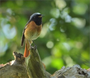 240624.01.JPG 240624.01.JPG