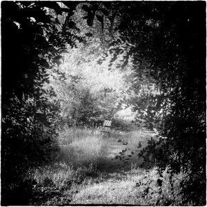 240628-Fs-1år.jpg 240628-Fs-1år.jpg