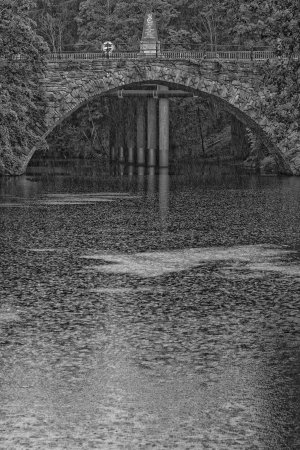 _N0A1117.jpg _N0A1117.jpg