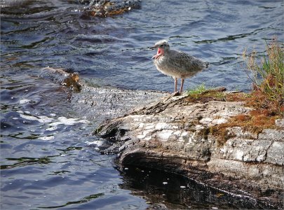 240703.01.JPG 240703.01.JPG