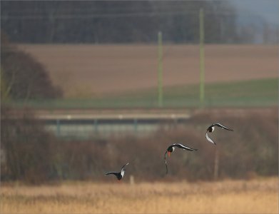 Fs Järnväg 250705.JPG