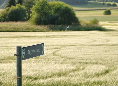 Fs Budskap 250706.JPG