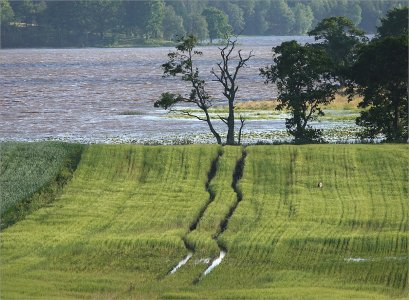 240707.01.JPG 240707.01.JPG