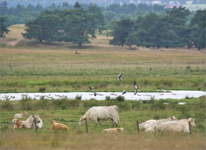 150708.01.JPG 150708.01.JPG