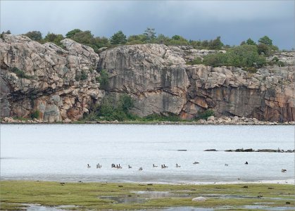 240708.01.JPG 240708.01.JPG