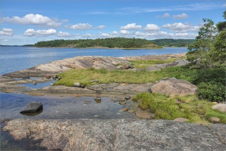 240709.01.JPG 240709.01.JPG