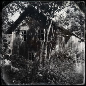 150710-FS10.jpg 150710-FS10.jpg