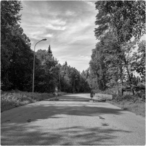 240713-Fs-1år.jpg 240713-Fs-1år.jpg