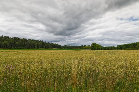 _N0A7593.jpg _N0A7593.jpg