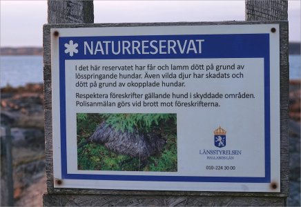 Fs Budskap 250717.JPG