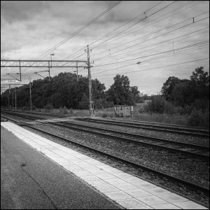 240719-Fs-1år.jpg 240719-Fs-1år.jpg