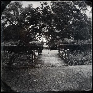 150721-FS10.jpg 150721-FS10.jpg