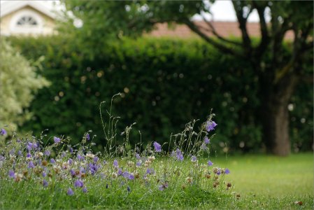 150721.01.JPG 150721.01.JPG