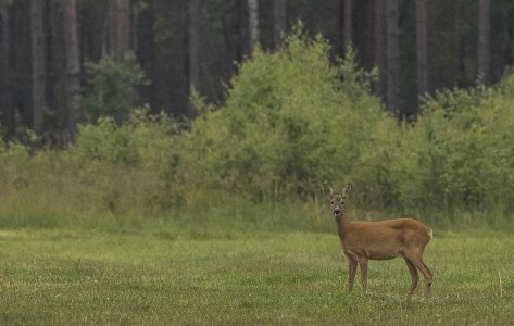 2015-07-22.jpg 2015-07-22.jpg