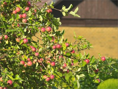 240724.01.JPG 240724.01.JPG